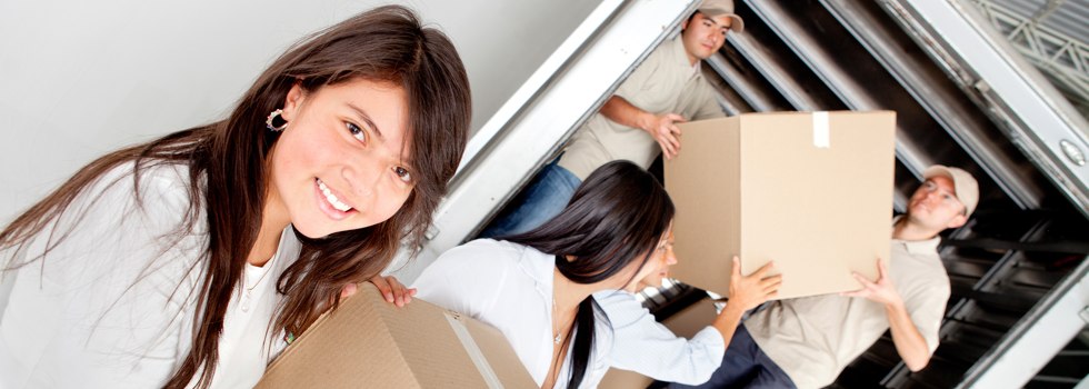 Professional Removalists Wollar